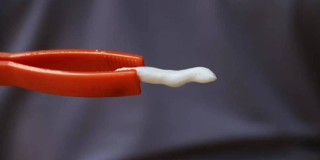 Çeyrek altını solladı, yarım altınla yarışıyor! Böyle sakız görülmedi, fiyatı dudak uçuklatıyor: Sivas’ın dağlarında topluyorlar 5